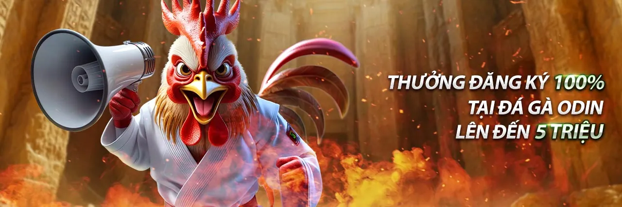 Quy định game slot và bắn cá Raybet