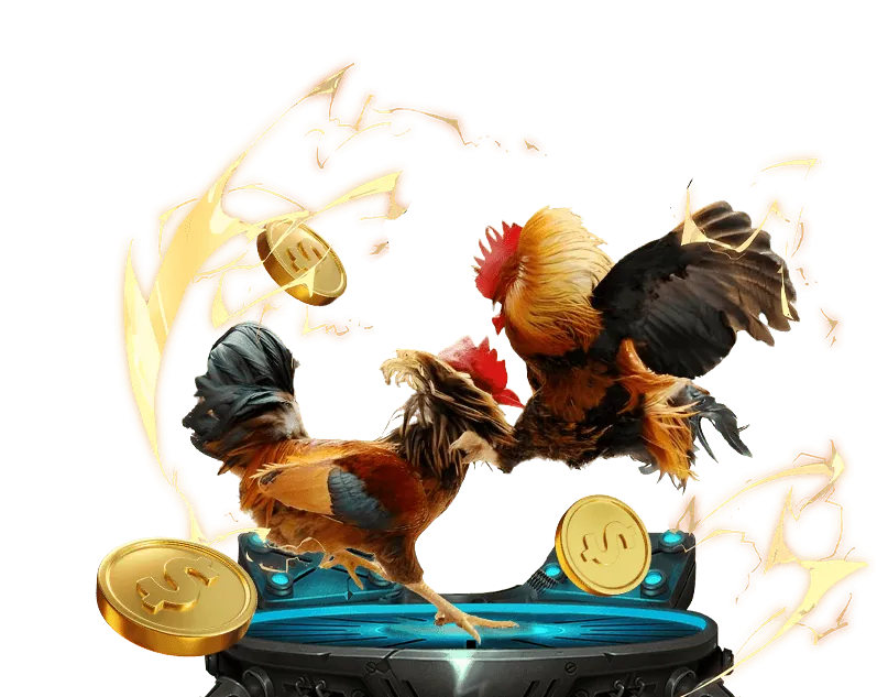 Cá cược thể thao trên Raybet